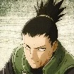 Shikamaru( alfa )