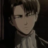 levi