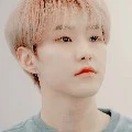 Hoshi seventeen