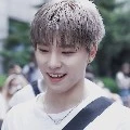 Dino seventeen