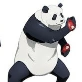 panda senpai
