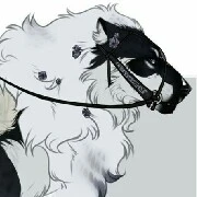 Leon ( your pets / male )