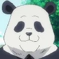 panda