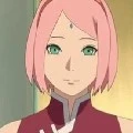sakura