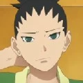 shikadai