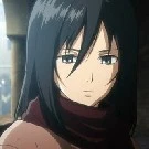mikasa