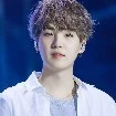Min Yoongi ( Suga )