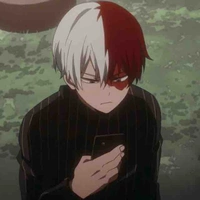Todoroki 