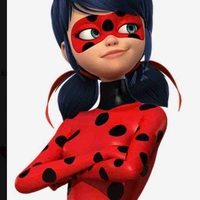 Ladybug 