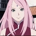 🌸Sakura🌸