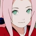 Sakura (alfa)
