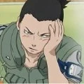 shikamaru (alfa)