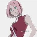 sakura
