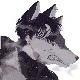 Axel