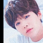 suga/kitty