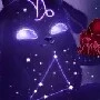 Capricorn(Baby)