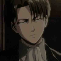 Levi