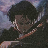 Levi