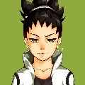 shikadai