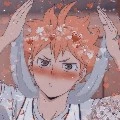Shoyo
