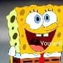 sponge