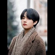 KIM Taehyung (🐺 V)