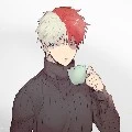 Shoto Todoroki