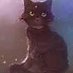 luci
