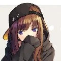 Y/N