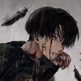 levi