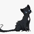 diamond(fl bestie)