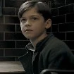 Jasper Cullen (kid)