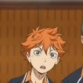 Shoyo