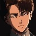 levi