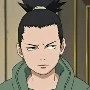 why ino