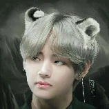 😋Crazy Author😋