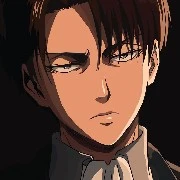 Levi