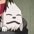 akamaru