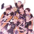 Karasuno VB Team
