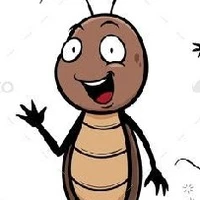 TOSHI THE ROACH