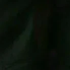 Orang