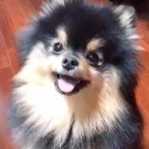 kim yeontan