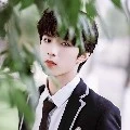 ◎Alviano Kecil◎