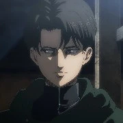 Levi
