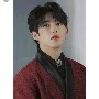 Seung Cheol (S.Coups)