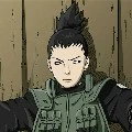 SHIKAMARU ◇Alfa◇