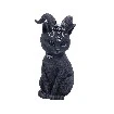 liro(gato)