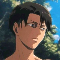 Levi