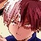 todoroki
