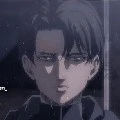 Levi